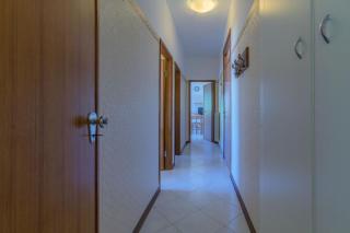 Orchidea - Comacchio - 1