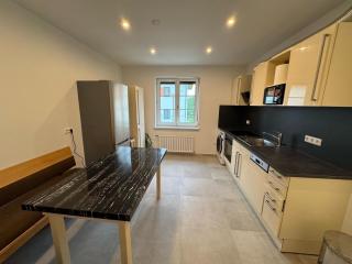 Sunlit Apartment with Garden, Next to Station, Vienna - Vösendorf - 4