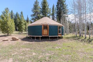 Blue Spruce Cabin - West Yellowstone - 3
