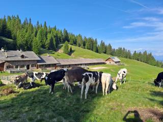 Agritur Belsogno B&B - Brez - 9