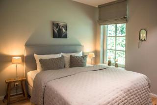Forest Retreat In East Frisia - Friedeburg - 1