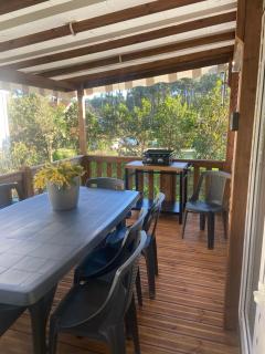 Chez Maya - Saint-Julien-en-Born - 1
