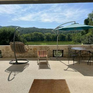 Wine Estate With Pool Near Lamalou - 1