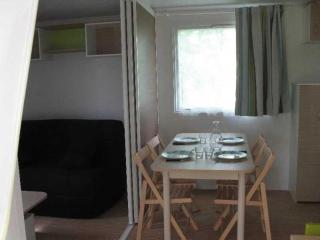 ZEcamping 4 animaux acceptés bain à remous sauna et solarium - 6