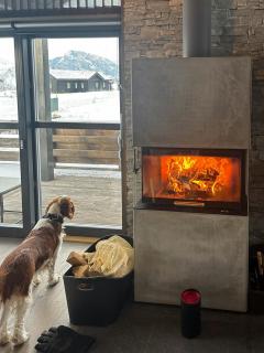 Family Cabin With Views Of Store And Lille Hødn - 4