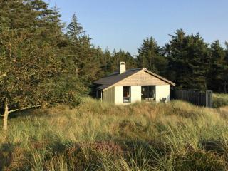 Summer House In The Dunes Near The West Sea - Saltum - 2
