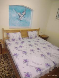 Casa de vacanta Puiu - Văleni - 5