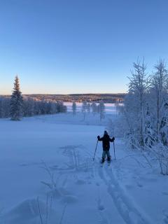 Willa Maria - Rovaniemi - 8