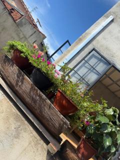 Sol do amanhacer - 4