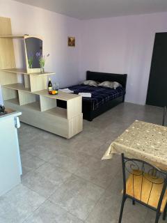 Pine Garden Apartments - Tiflis - 1