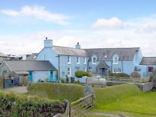Puffin Cottage - Abereiddy - 0