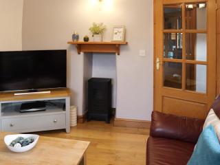 Glanllyn Lodge - Llanuwchllyn - 7