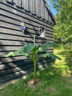 Gite La Chouette - Beyssac - 3