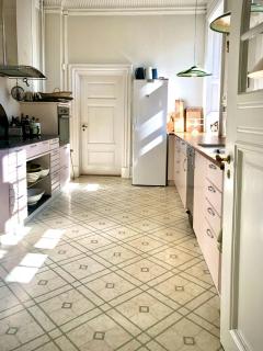 Historic Atmosphere At Gelskov Estate For You - Ringe - 6