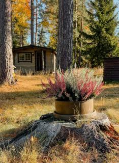 Adventure Explore Island Life In Idyllic Cottage - Vätö - 2