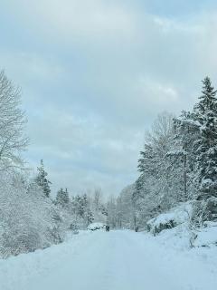 Adventure Explore Island Life In Idyllic Cottage - 1