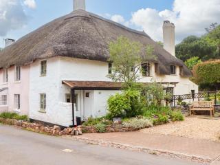 1 Myrtle Cottages - Newton Abbot - 9