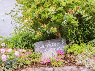 1 Myrtle Cottages - Newton Abbot - 7