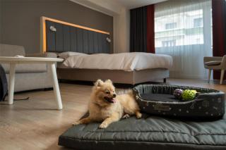 Park Inn by Radisson Bucharest Hotel & Residence - 2