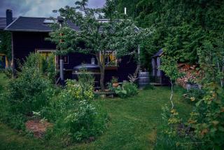 Blickinsfreie - Cabin - Schöneck - 3