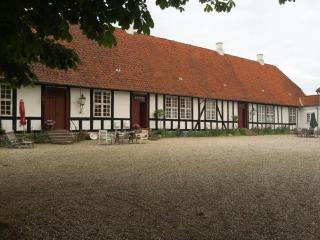 Historic Place At Gelskov Estate - 8