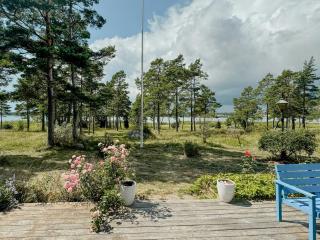 Lakeside And Sun Terrace In Valleviken - Lärbro - 9