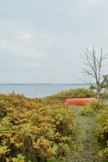 Cozy Holiday Home With Forest And Fjord Views - Roslev - 5