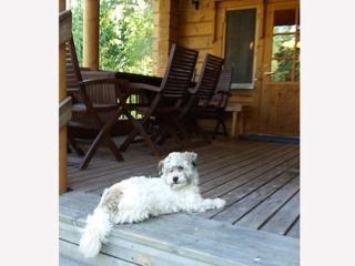 Holiday Home Lomakuikka by Interhome - 5