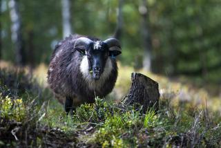 Modern And Inviting Cabin In Valdres - 3