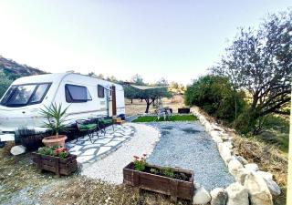 Olive Grove Mountain Caravan - - 0