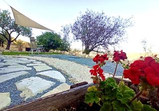 Olive Grove Mountain Caravan - - 2