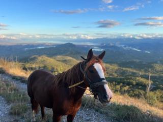 camping and horseback riding Parci - Podgorica - 9