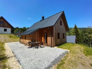 Holiday Home Pod lesem 265 by Interhome - Smržovka - 0