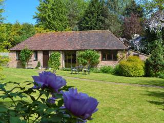 Ivy Cottage - Sandhurst - 0