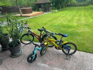 POGO dom nad Narwią - 4 sypialnie, balia, własny pomost, plac zabaw - - 8