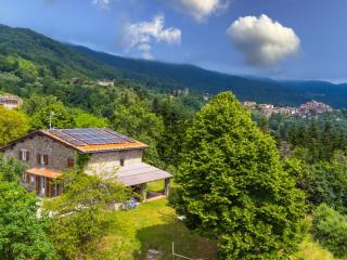 Holiday Home Fanny by Interhome - Pescia - 6