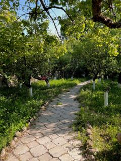Gardeni Small - Garni - 2