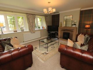 Scalby Grove Cottage - Scarborough - 5