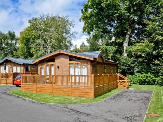 Forest Glade Lodge - Lanlivery - 0