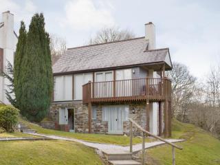 Eagles Nest - St Mellion - 0