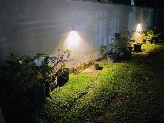Hidden Cottage - 8