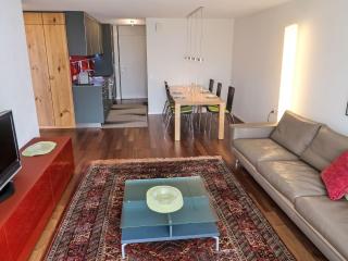 Apartment Apt B 096 by Interhome - Disentis - 2