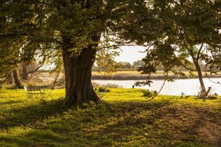 Relaxation In Historic Manor On Rügen - Poseritz - 6