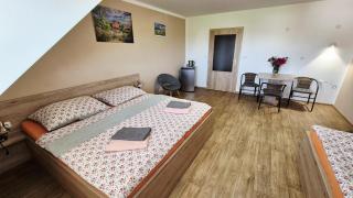 Penzion a restaurace Zlatovláska u zámku Červená Lhota - 2