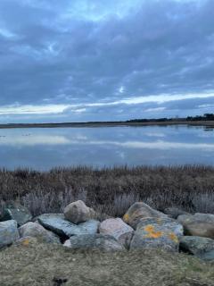 Log Cabin Close To The Beach In Ellinge Lyng - Vig - 3