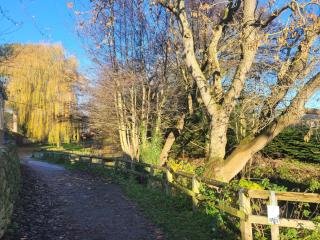 West side - Marton - 6