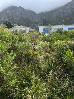 Bass Lake Boat House - Bettyʼs Bay - 1