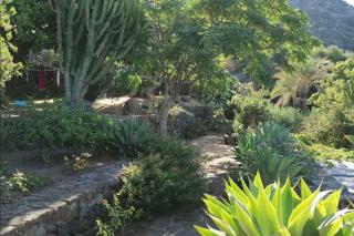 Historic Dammuso In Kareb Valley - Pantelleria - 4