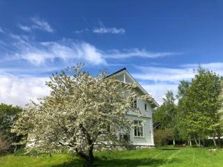 Historic Property In Idyllic Snertingdal - - 9