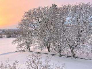 Historic Property In Idyllic Snertingdal - 6
